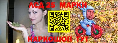 прущие крисы Донецк
