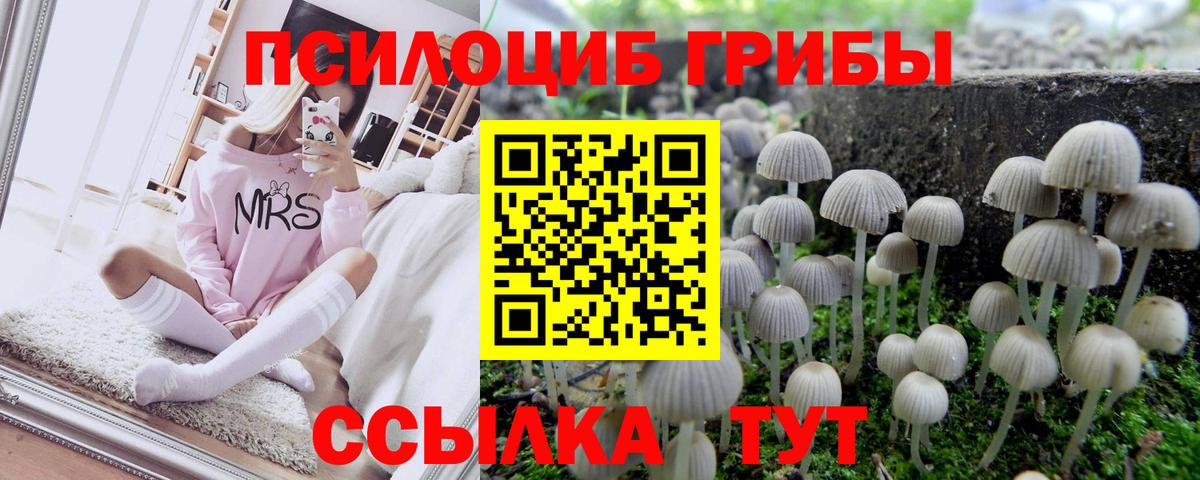 где купить наркотик  Вход с VPN  Галлюциногенные грибы Cubensis  Мирный  Галлюциногенные грибы Magic Shrooms 