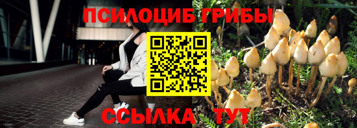 Псилоцибиновые грибы Cubensis Мирный